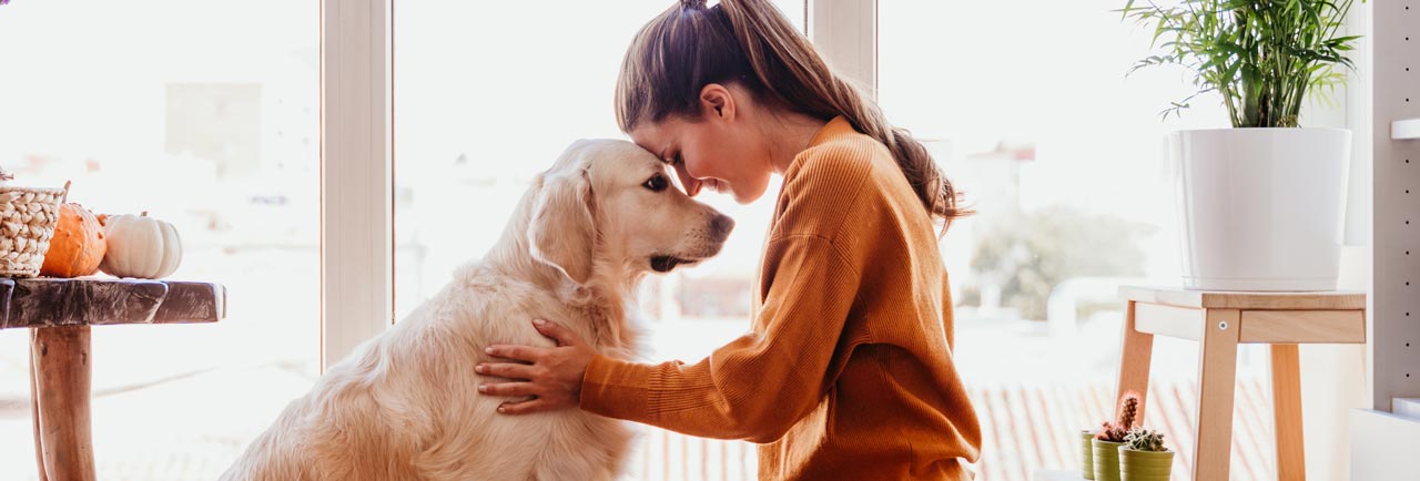 Häufige Fragen zum Thema Ernährungsberatung für Hunde, Katzen und Menschen